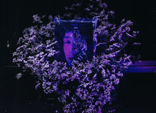 Load image into Gallery viewer, Thoughts I've Had (Paperback)